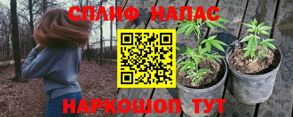Ивантеевка  Канабис Amnesia  Вход с VPN  Марихуана SATIVA & INDICA  Канабис AK-47 